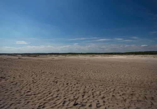 To nie Sahara ani Gobi. Tę pustynię znajdziesz 50 km od Krakowa