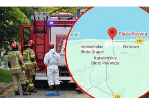 Akcja służb w Karwii. Znaleziono obiekt przypominający drona