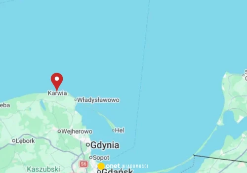 Znalezisko na plaży w Karwi. 