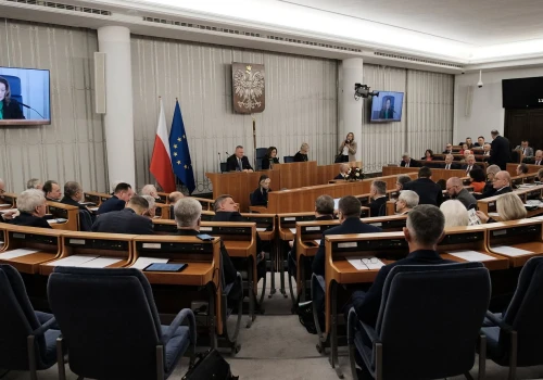 Nowe przepisy ws. usuwania treści w internecie. Senat chce zmian