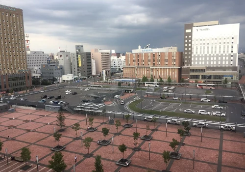 Metropolia podobne jak bydgoska w USA i Japonii