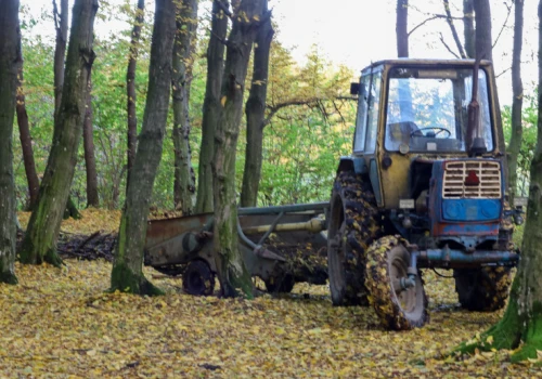 Ściął 3 drzewa bez pozwolenia. Sąd zabrał rolnikowi piłę i traktor z przyczepą