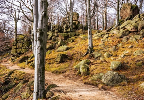 Zamiast w Tatry, jesienią jadę tu. Malowniczy, prawie pusty szlak dla każdego
