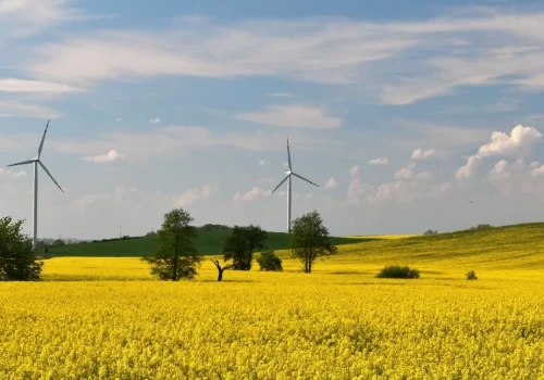 Energia dla gminy – jak połączyć wiatraki, biogaz, magazynowanie i współpracę z inwestorem?