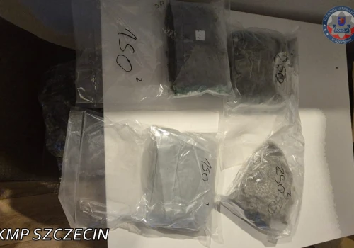 Ponad 4 kg suszu i prawie 19 tys. zł zabezpieczone przez policję w Szczecinie