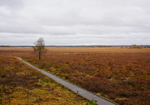 Poleski Park Narodowy – najpiękniej jesienią!