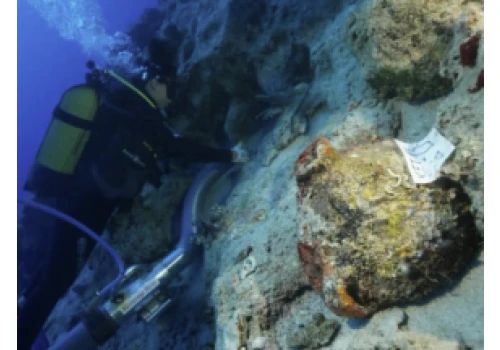 Turcja/ U wybrzeży wyspy Kekova znaleziono najstarszy wrak statku na świecie