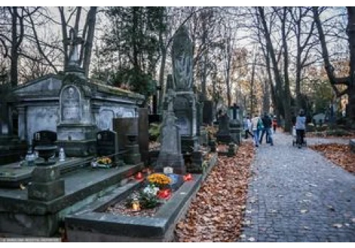 Usługi cmentarne przed Wszystkich Świętych. Oto ile kosztują