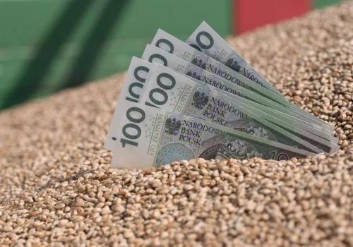 WIBOR znika z nowych kredytów. Co zmieni się dla rolników od 2027 roku?