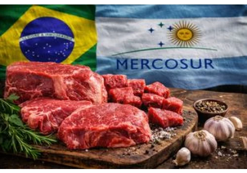 Mercosur miał zalać Polskę tanią żywnością. Najnowsze dane pokazują coś innego