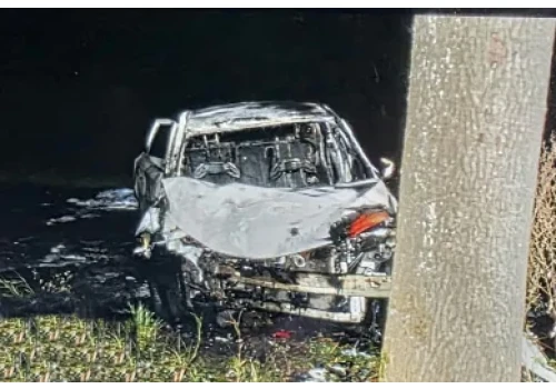 Zasnął za kierownicą i uderzył w drzewo. Auto spłonęło