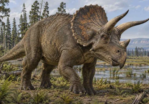 Triceratops od A do Z. Trzy rogi, ślady walk i niezwykła historia odkrycia
