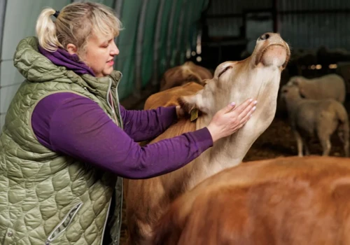 370 hektarów i 1300 owiec. Polka w gronie stu najbardziej wpływowych rolniczek na świecie
