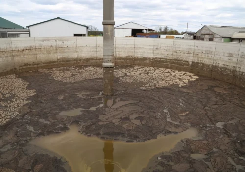 Ile dziś kosztują obornik i gnojowica? Stawki różnią się lokalnie