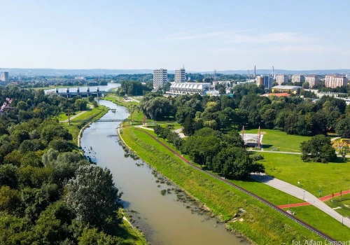 Kwitnące łąki zamiast regularnych rabat! Blisko 30 tys. nowych roślin na rzeszowskich Bulwarach