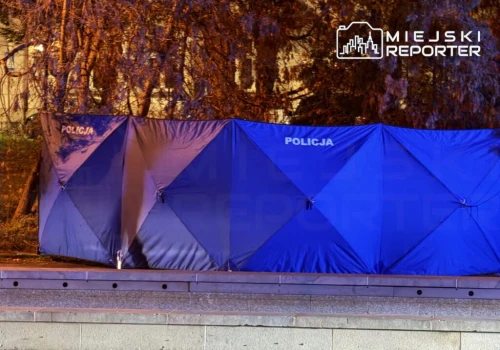 Makabryczne odkrycie w parku. Martwy mężczyzna przez kilka godzin siedział na ławce