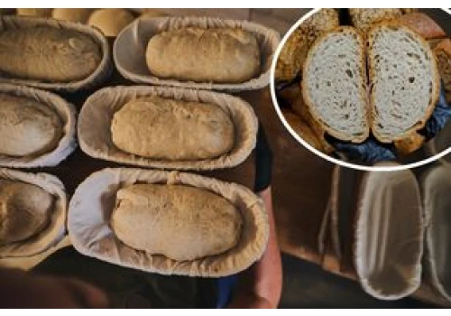 Do tej piekarni w Jarosławiu ustawiają się kolejki. Wszystko to zasługa ich chleba
