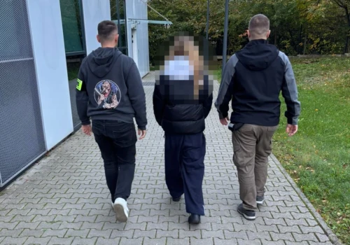 Policjanci zatrzymali 16-latkę. Powodem nagranie opublikowane w sieci