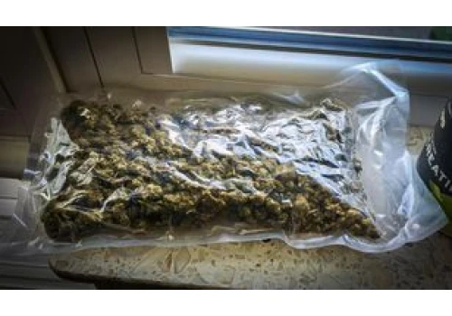 Pół kilograma narkotyków. Policja z Piły zatrzymała 3 osoby