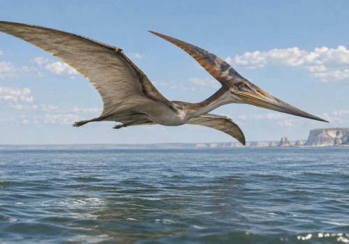 Pteranodon od A do Z. Latający olbrzym, który nie miał ani jednego zęba