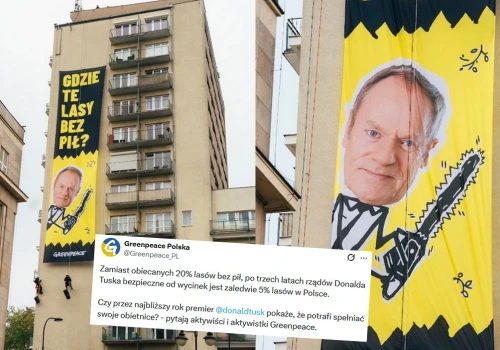 Aktywiści domagają się od premiera, żeby zaczął chronić lasy, jak obiecał w 100 konkretach