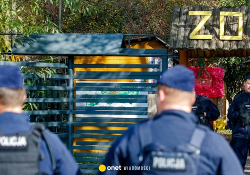 Horror zwierząt w zoo. Ministerstwo dementuje medialne doniesienia