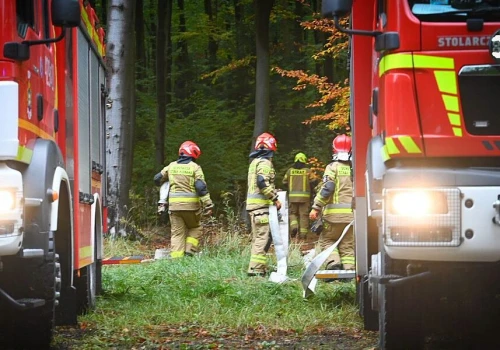 Tragiczny pożar w Nisku. Zginęło dwóch strażaków podczas akcji gaśniczej