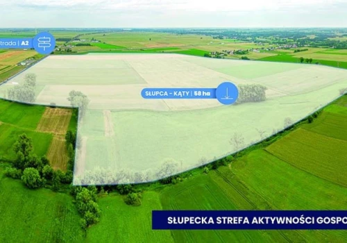 „Utworzyliście strefę, ale co tam się dzieje?”