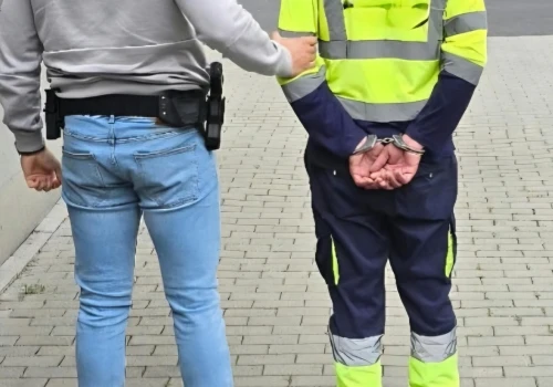 Płoccy policjanci zatrzymali 9 osób poszukiwanych. Ustalili także miejsce pobytu osoby zaginionejPłoccy policjanci zatrzymali 9 osób poszukiwanych. Ustalili także miejsce pobytu osoby zaginionej