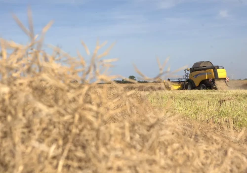 Kto dziedziczy gospodarstwo po bezdzietnym rolniku?