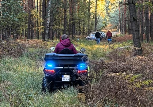 Nietypowa akcja ratunkowa w lesie. Ratowali grzybiarkę z bagna