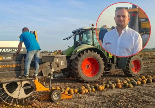 Z pestek dyni zrobił duży interes. Sam uprawia niewiele, a przerabia 5 tys. ton rocznie