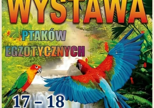 Wystawa ptaków egzotycznych – zapowiedź