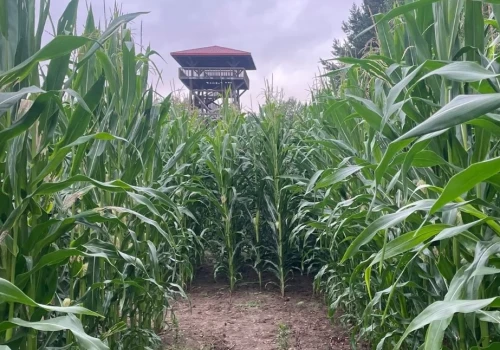 Noc strachów w labiryncie w Fojutowie. Będą przebrani aktorzy