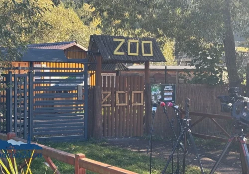 ZOO Łączna. Martwy ptak, powrót pracowników i nowe decyzje. Co dalej z ogrodem?