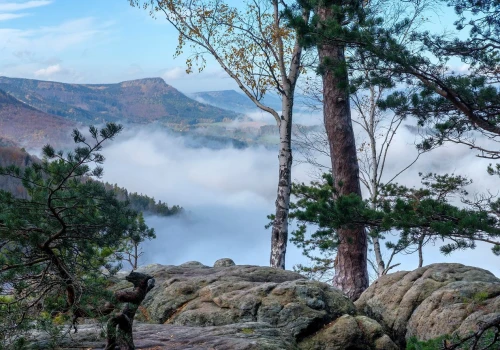 Kierunek dnia. Zamiast w Tatry, jesienią jedź tutaj. Wygląda jak sceneria z 