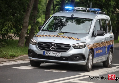 Nielegalna toaleta, podrzucony gruz i zakrwawiony bezdomny. Interwencje straży miejskiej