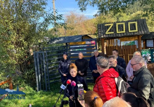 ZOO Łączna. Dwa ptaki padły, kucyk w bardzo złym stanie. Nowe informacje o sytuacji