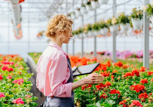 Godziny pracy w Holandii i związane z nimi przepisy