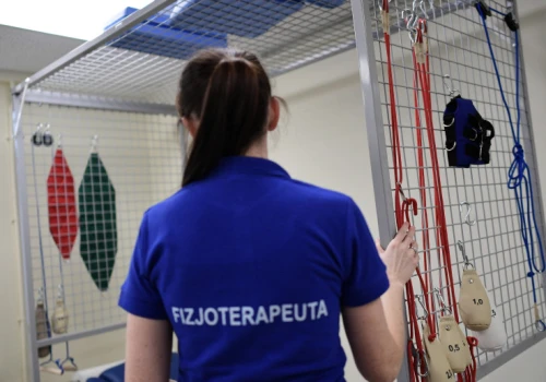 1,5 mln pacjentów w kolejce do fizjoterapii. Podobna liczba do diagnostyki