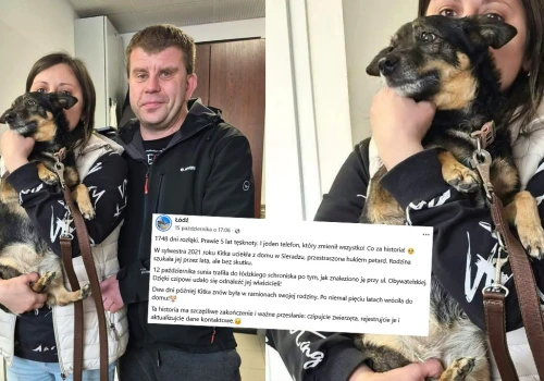 Sieradz: po 5 latach rozłąki psinka wróciła do właścicieli