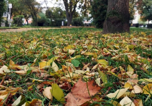 Dla jednych niebezpieczne, dla innych pożyteczne. Spór o liście w Koninie