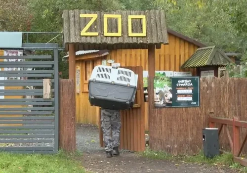Afera wokół prywatnego Zoo Łączna