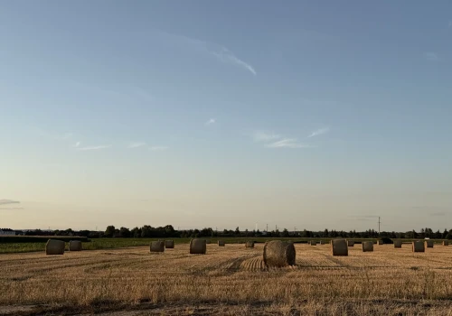 Dopłaty 2026: 11 mld zł trafiło do rolników.