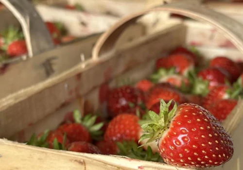 Polska żywność spełnia wysokie standardy. Import powinien grać według tych samych zasad