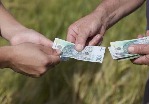 Agroturystyka prowadzona przez rolniczkę – jakie podatki obowiązują?
