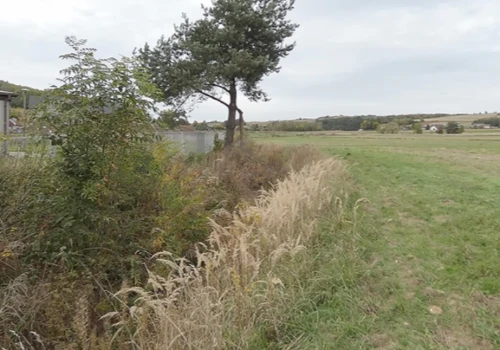 Biała Przemsza w Chrząstowicach