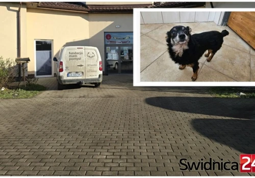 Kulka z Łącznej nie została ukradziona ani zabrana właścicielom