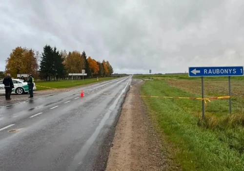 Litwa: Obiekt przypominający drona eksplodował na północy kraju. Mógł przylecieć z Polski