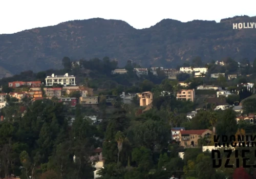 Zarabiał na życie jako stolarz. Przypadek sprawił, że został jedną z największych gwiazd Hollywood